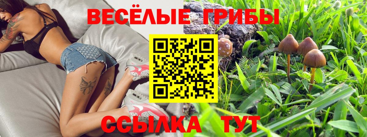 цена   Вход с VPN  Балашов  Галлюциногенные грибы MAGIC MUSHROOMS  Галлюциногенные грибы Cubensis 