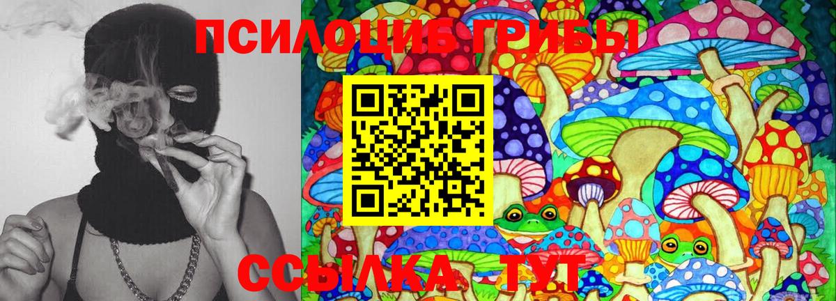 Псилоцибиновые грибы MAGIC MUSHROOMS Балашов